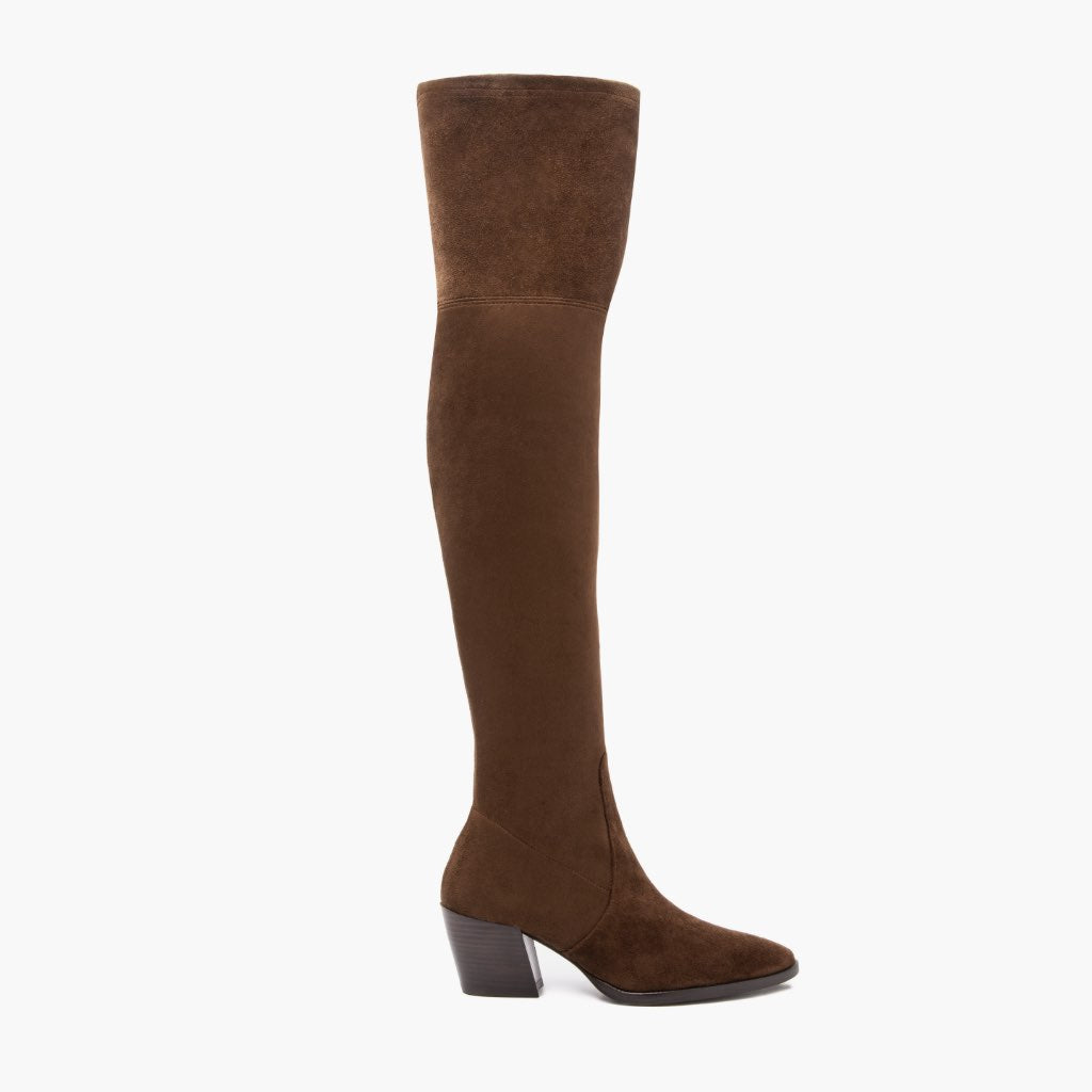 Tempest Espresso Botas em couro para Mulher in Classic Full-Grain Leather - Vista de perfil | Comprar online